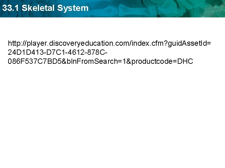 33. 1 Skeletal System http: //player. discoveryeducation. com/index. cfm? guid. Asset. Id= 24 D
