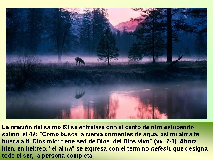 La oración del salmo 63 se entrelaza con el canto de otro estupendo salmo,