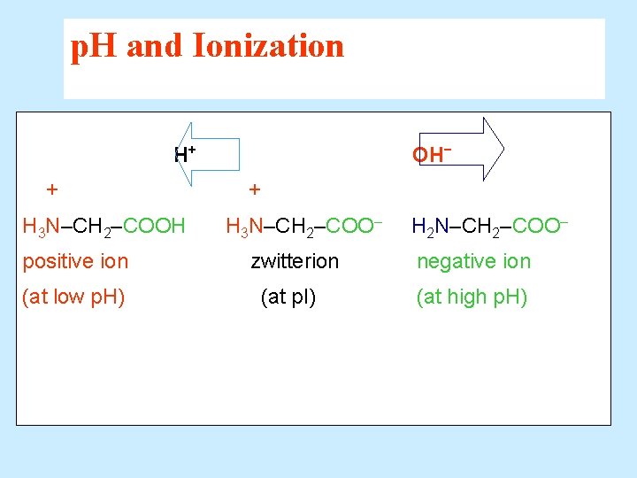 p. H and Ionization H+ + H 3 N–CH 2–COOH positive ion (at low