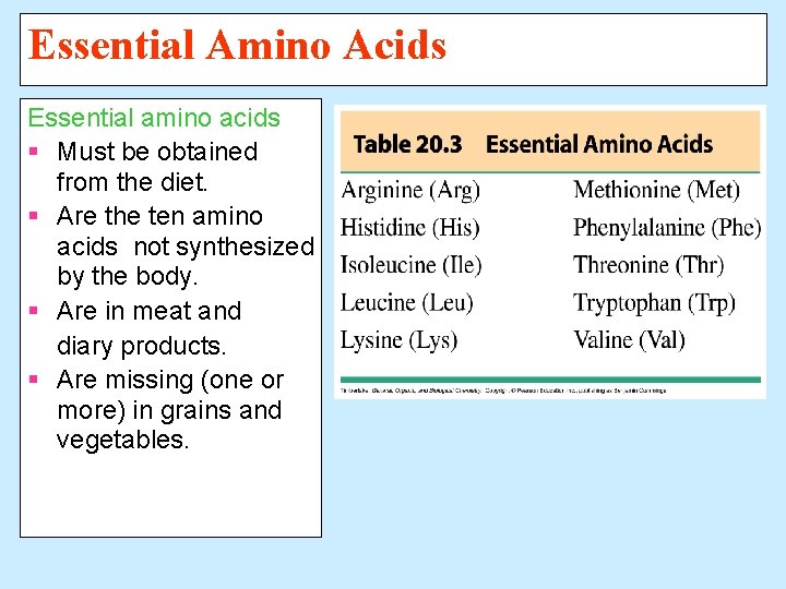 Essential Amino Acids Essential amino acids § Must be obtained from the diet. §