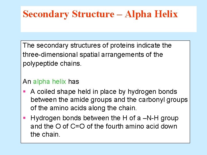 Secondary Structure – Alpha Helix The secondary structures of proteins indicate three-dimensional spatial arrangements