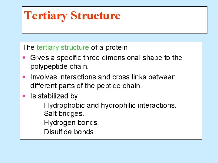 Tertiary Structure The tertiary structure of a protein § Gives a specific three dimensional