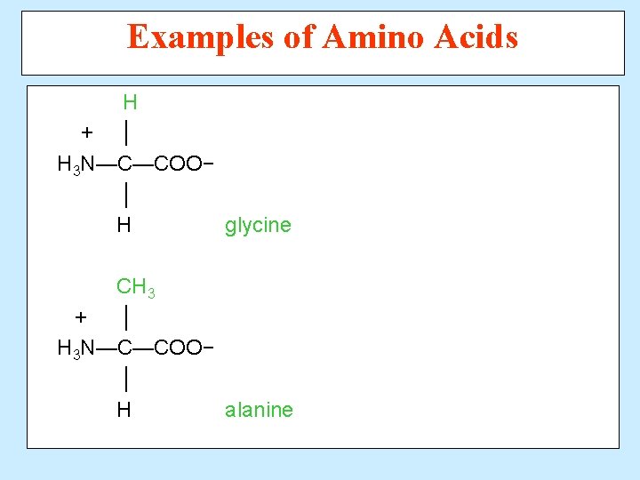 Examples of Amino Acids H + │ H 3 N—C—COO− │ H glycine CH