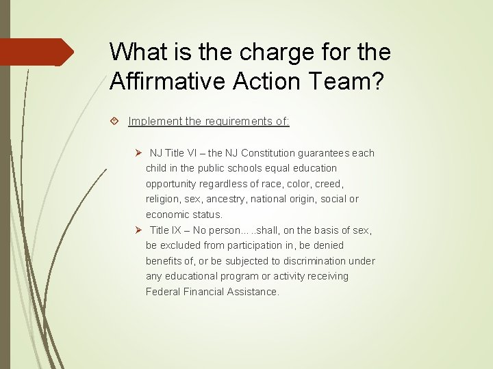 What is the charge for the Affirmative Action Team? Implement the requirements of: Ø