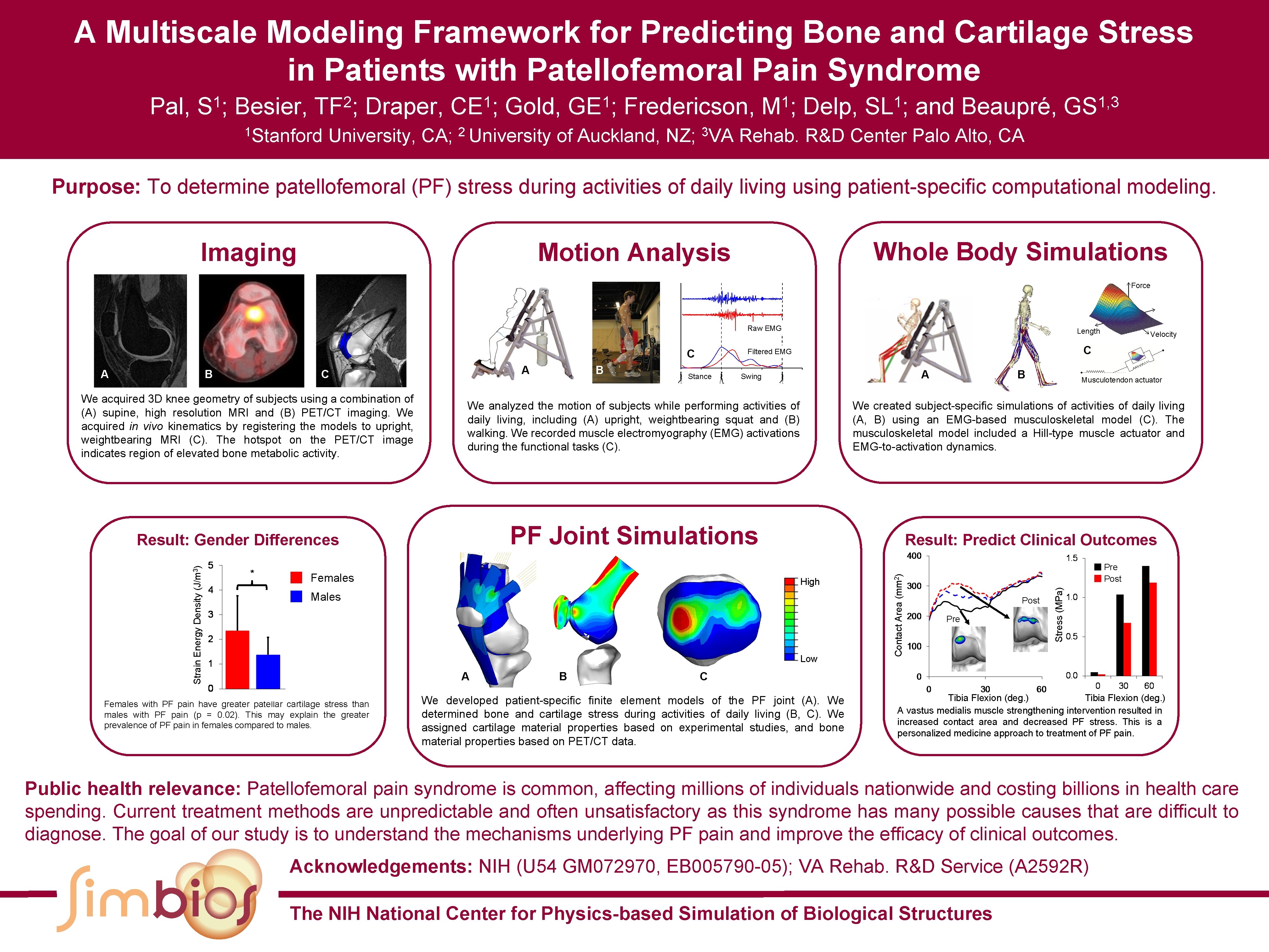 A Multiscale Modeling Framework for Predicting Bone and