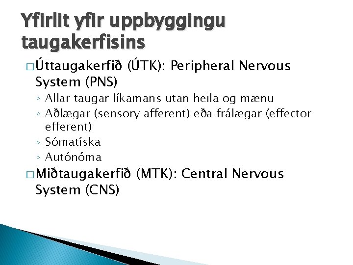 Yfirlit yfir uppbyggingu taugakerfisins � Úttaugakerfið System (PNS) (ÚTK): Peripheral Nervous ◦ Allar taugar