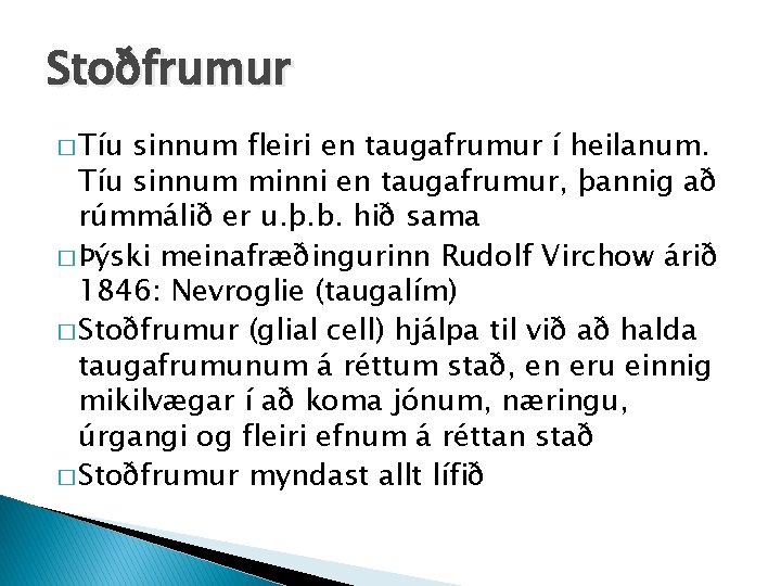 Stoðfrumur � Tíu sinnum fleiri en taugafrumur í heilanum. Tíu sinnum minni en taugafrumur,