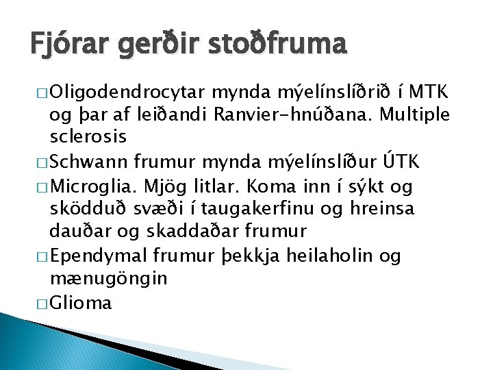Fjórar gerðir stoðfruma � Oligodendrocytar mynda mýelínslíðrið í MTK og þar af leiðandi Ranvier-hnúðana.