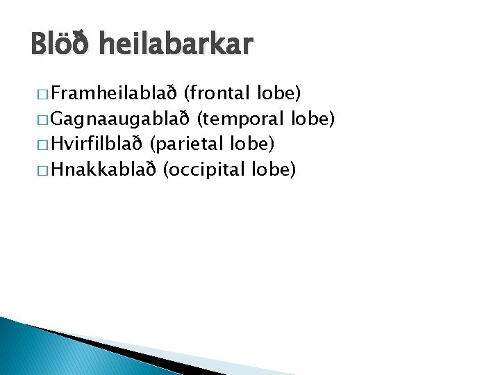 Blöð heilabarkar � Framheilablað (frontal lobe) � Gagnaaugablað (temporal lobe) � Hvirfilblað (parietal lobe)