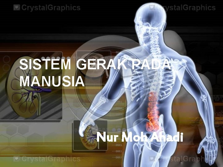 SISTEM GERAK PADA MANUSIA Nur Moh Ahadi 