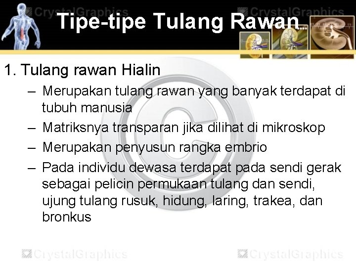 Tipe-tipe Tulang Rawan 1. Tulang rawan Hialin – Merupakan tulang rawan yang banyak terdapat