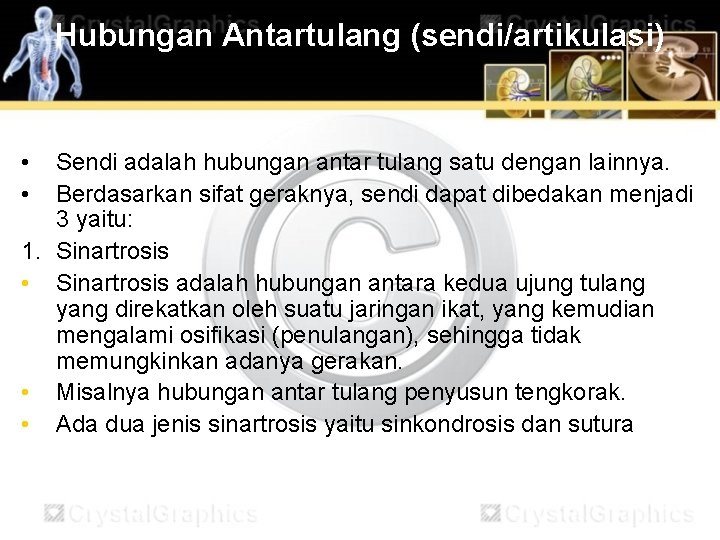 Hubungan Antartulang (sendi/artikulasi) • • Sendi adalah hubungan antar tulang satu dengan lainnya. Berdasarkan