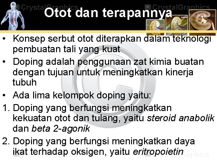 Otot dan terapannya • Konsep serbut otot diterapkan dalam teknologi pembuatan tali yang kuat