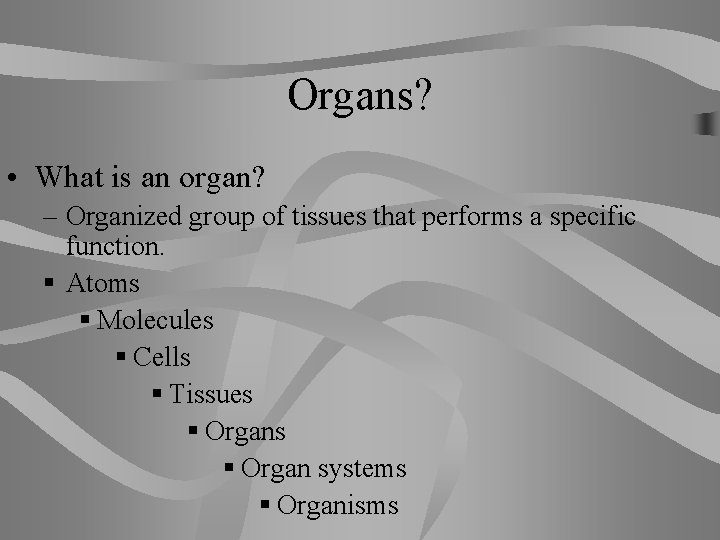 Organs? • What is an organ? – Organized group of tissues that performs a