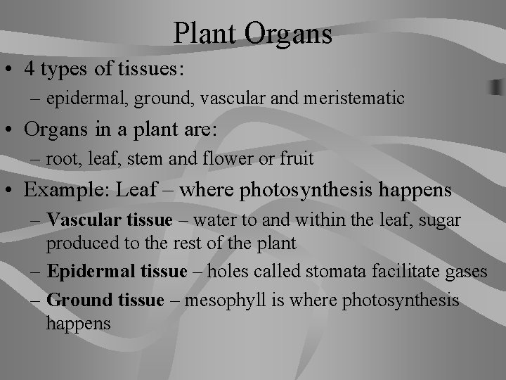 Plant Organs • 4 types of tissues: – epidermal, ground, vascular and meristematic •