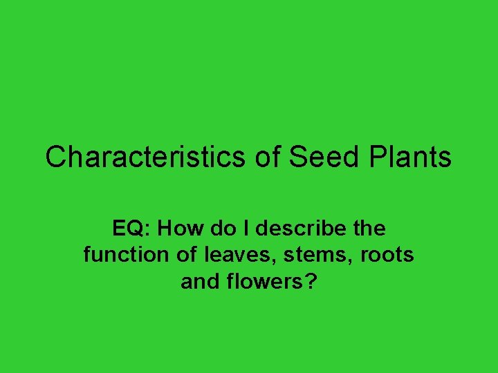 Characteristics of Seed Plants EQ: How do I describe the function of leaves, stems,