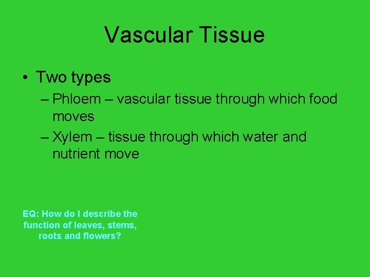 Vascular Tissue • Two types – Phloem – vascular tissue through which food moves