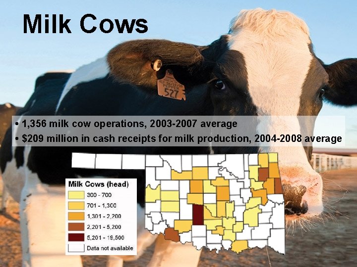 Milk Cows • 1, 356 milk cow operations, 2003 -2007 average • $209 million