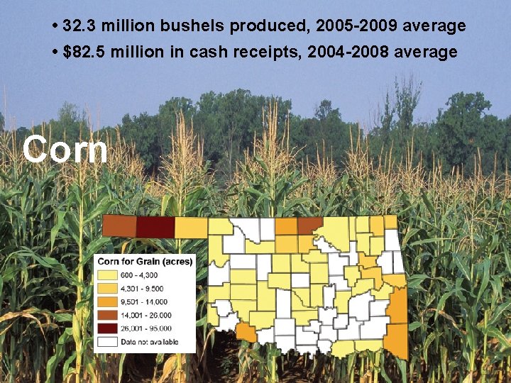  • 32. 3 million bushels produced, 2005 -2009 average • $82. 5 million