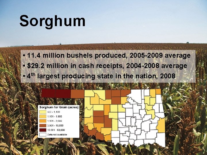 Sorghum • 11. 4 million bushels produced, 2005 -2009 average • $29. 2 million