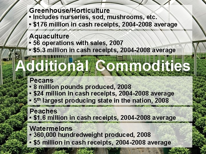 Greenhouse/Horticulture • Includes nurseries, sod, mushrooms, etc. • $176 million in cash receipts, 2004