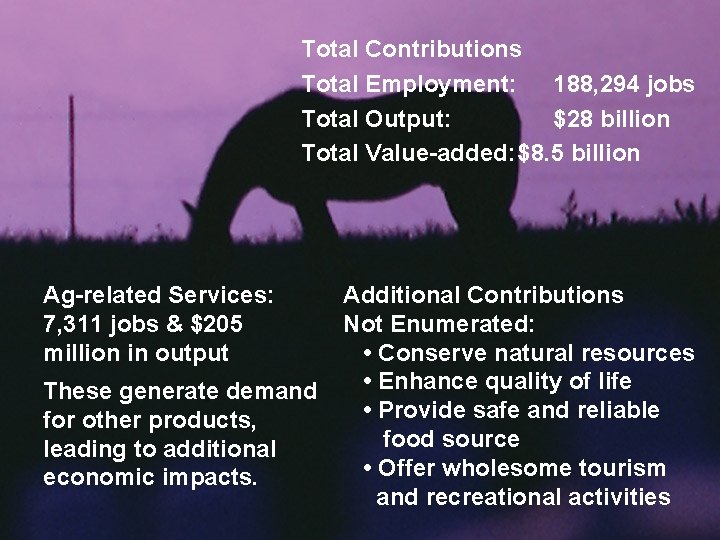 Total Contributions Total Employment: 188, 294 jobs Total Output: $28 billion Total Value-added: $8.