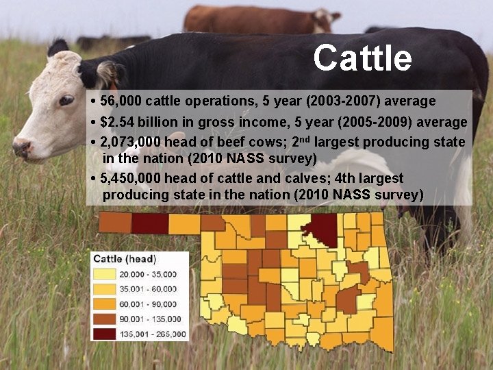 Cattle • 56, 000 cattle operations, 5 year (2003 -2007) average • $2. 54
