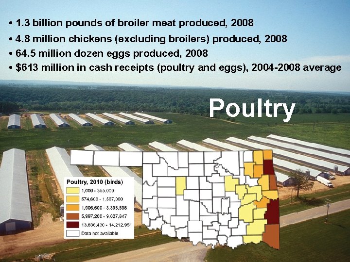  • 1. 3 billion pounds of broiler meat produced, 2008 • 4. 8