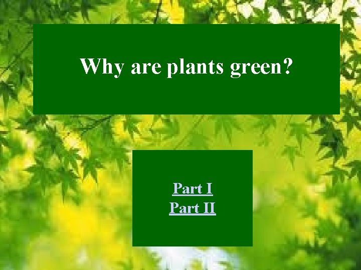 Why are plants green? Part II 