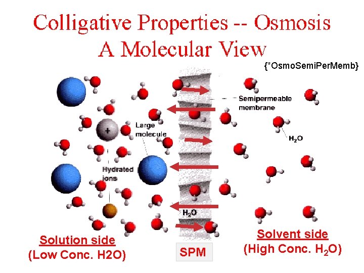 {*Osmo. Semi. Per. Memb} Solution side (Low Conc. H 2 O) SPM Solvent side