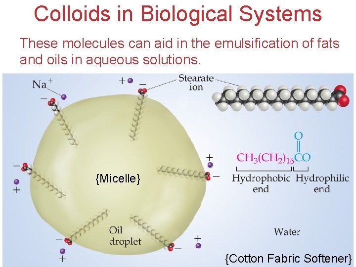 Colloids in Biological Systems These molecules can aid in the emulsification of fats and