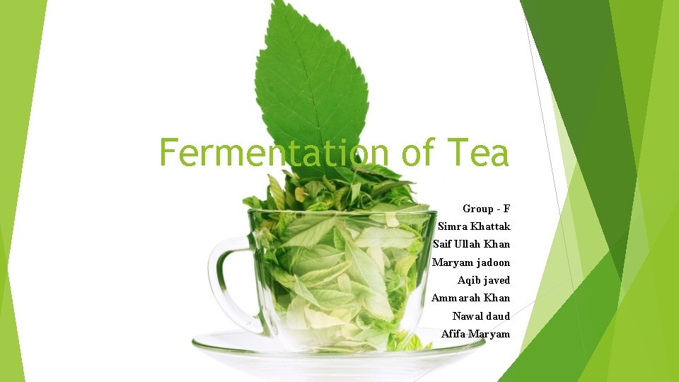 Fermentation of Tea Group - F Simra Khattak Saif Ullah Khan Maryam jadoon Aqib