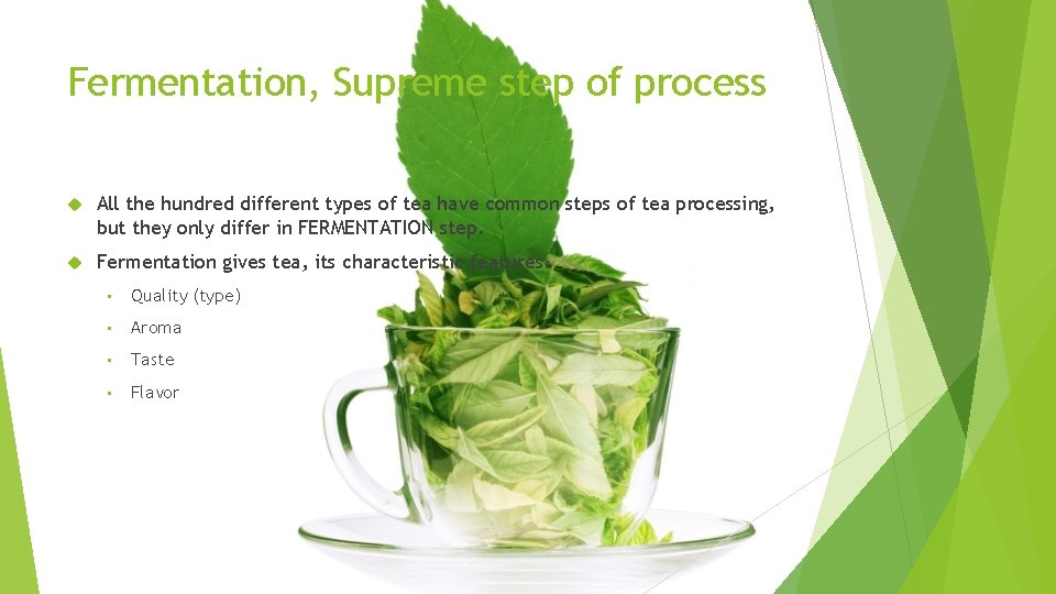 Fermentation, Supreme step of process All the hundred different types of tea have common