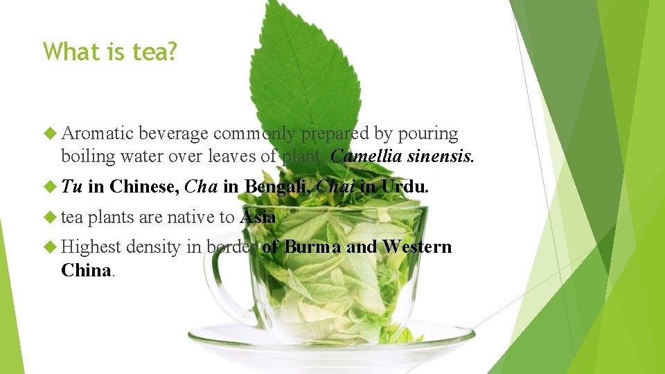 What is tea? Aromatic beverage commonly prepared by pouring boiling water over leaves of