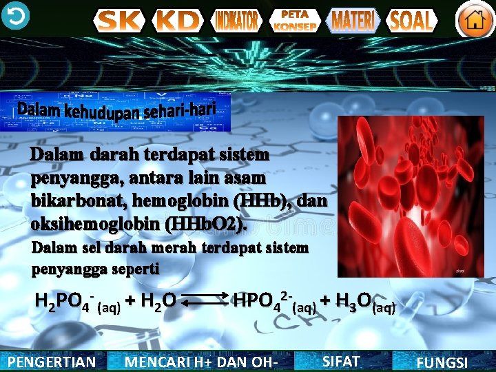 Dalam darah terdapat sistem penyangga, antara lain asam bikarbonat, hemoglobin (HHb), dan oksihemoglobin (HHb.