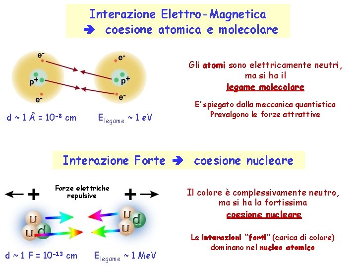 Interazione Elettro-Magnetica coesione atomica e molecolare Gli atomi sono elettricamente neutri, ma si ha