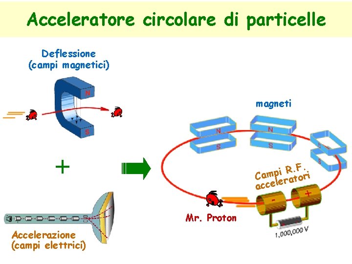 Acceleratore circolare di particelle Deflessione (campi magnetici) magneti + . F. R i p