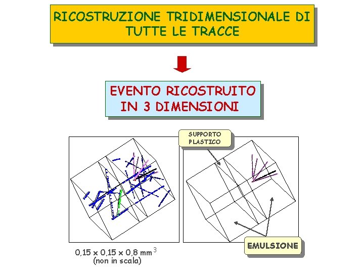 RICOSTRUZIONE TRIDIMENSIONALE DI TUTTE LE TRACCE EVENTO RICOSTRUITO IN 3 DIMENSIONI SUPPORTO PLASTICO mm