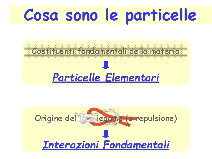 Cosa sono le particelle Costituenti fondamentali della materia Particelle Elementari Origine del loro legame