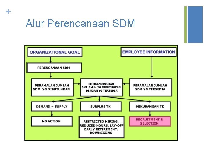 + Alur Perencanaan SDM 