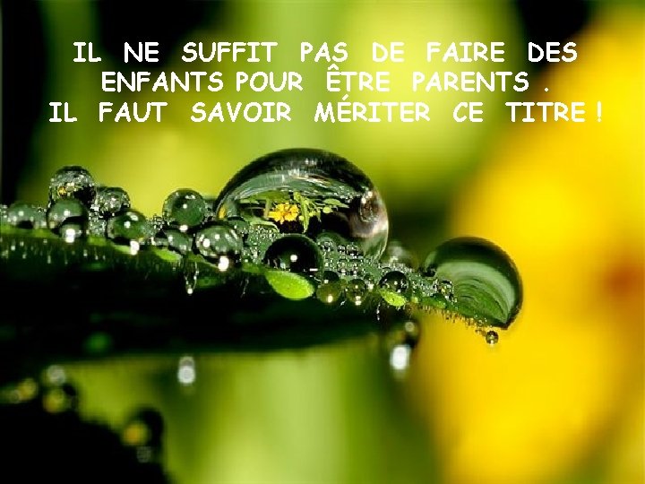 IL NE SUFFIT PAS DE FAIRE DES ENFANTS POUR ÊTRE PARENTS. IL FAUT SAVOIR