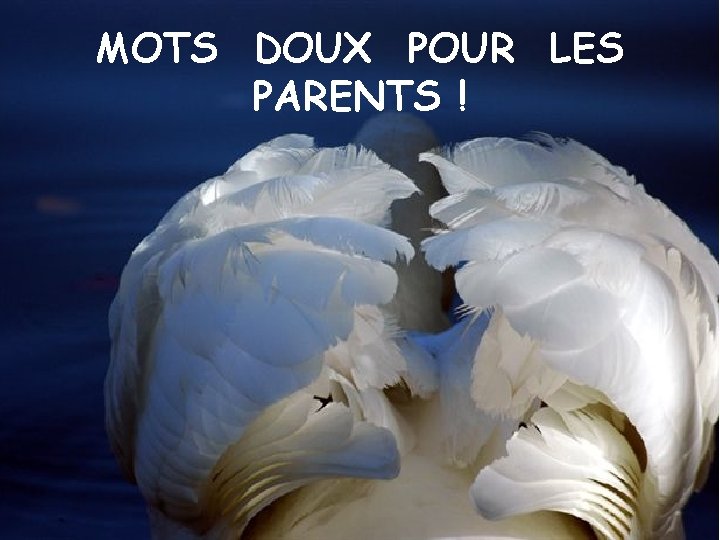 MOTS DOUX POUR LES PARENTS ! 