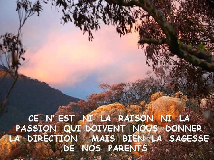 CE N’ EST NI LA RAISON NI LA PASSION QUI DOIVENT NOUS DONNER LA