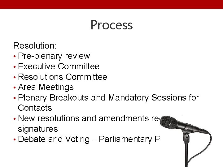 Process Resolution: • Pre-plenary review • Executive Committee • Resolutions Committee • Area Meetings