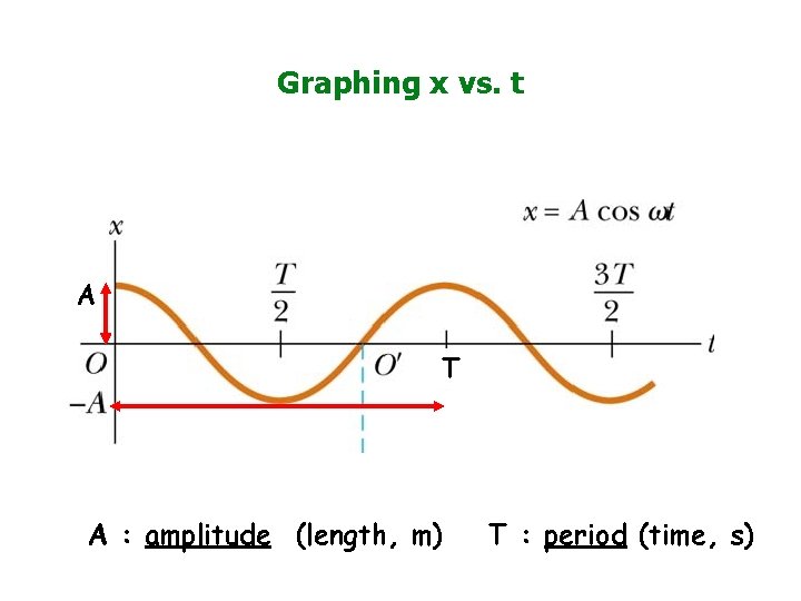 Graphing x vs. t A T A : amplitude (length, m) T : period