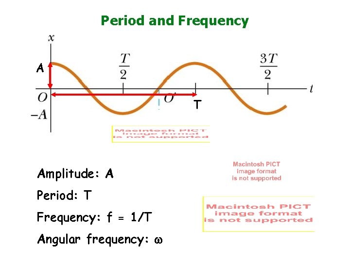 Period and Frequency A T Amplitude: A Period: T Frequency: f = 1/T Angular