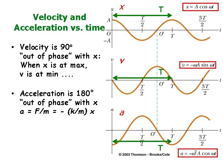 Velocity and Acceleration vs. time • Velocity is 90° “out of phase” with x: