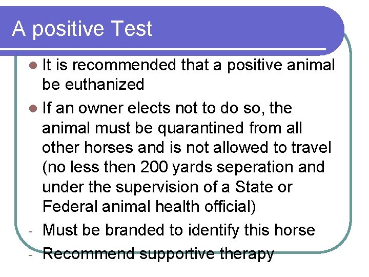 A positive Test l It is recommended that a positive animal be euthanized l