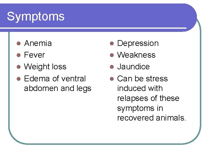 Symptoms Anemia l Fever l Weight loss l Edema of ventral abdomen and legs