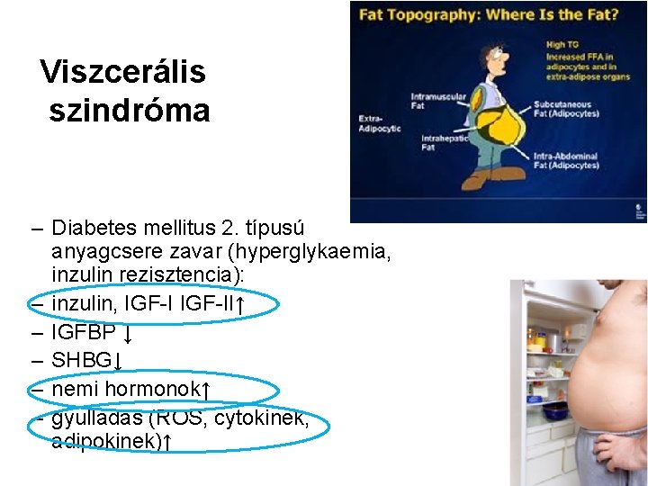 Viszcerális szindróma – Diabetes mellitus 2. típusú anyagcsere zavar (hyperglykaemia, inzulin rezisztencia): – inzulin,